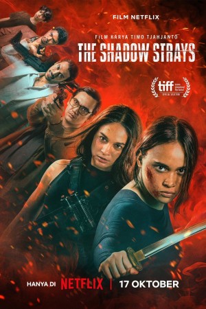 Sát Thủ Mật Danh 13 (The Shadow Strays) [2024]