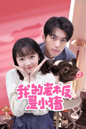 Sếp Của Tôi Là Chú Lợn Nhỏ (My Piggy Boss) [2024]