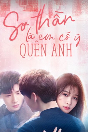 Sơ Thần, Là Em Cố Ý Quên Anh (Irreplaceable love ) [2020]