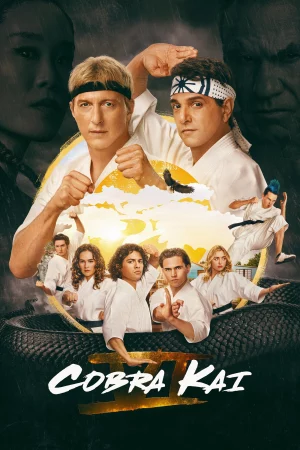 Võ Đường Cobra Kai (Phần 6) - Cobra Kai (Season 6)