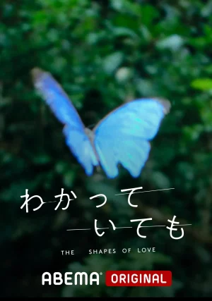 DẪU BIẾT DÁNG HÌNH TÌNH YÊU - The Shapes of Love