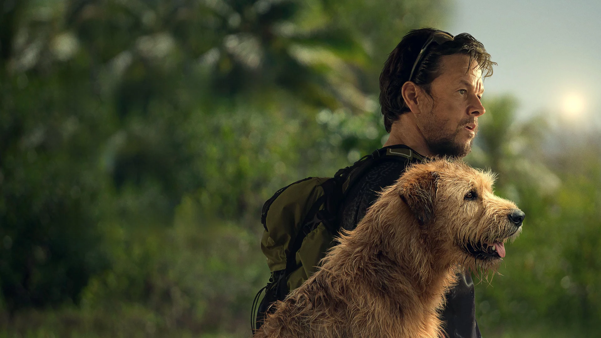 Arthur: Chú Chó Kiên Cường - Arthur the King (2024) Arthur: Chú Chó Kiên Cường - Arthur the King (2024)
