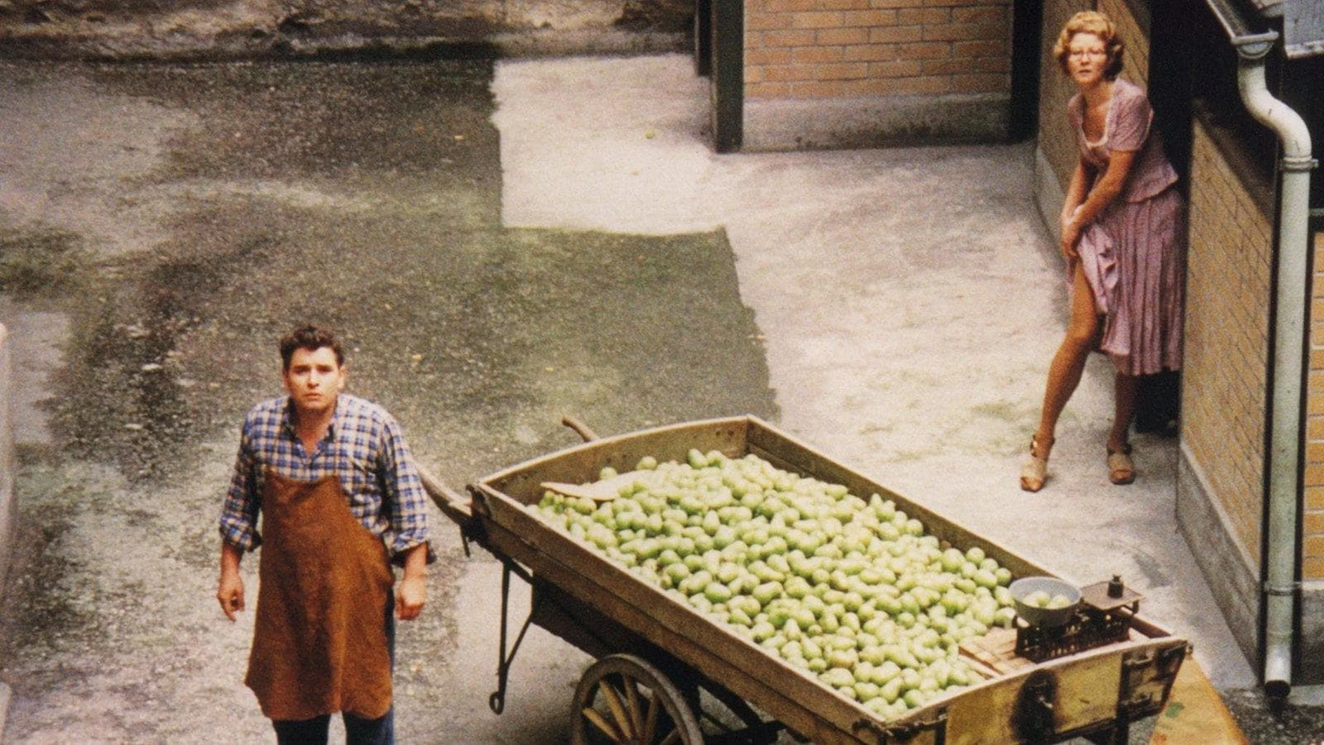 Bốn Mùa Đẩy Xe - The Merchant of Four Seasons (1972) Bốn Mùa Đẩy Xe - The Merchant of Four Seasons (1972)